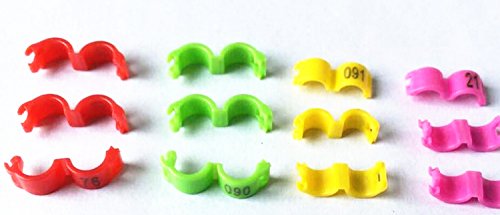 freen-p 100/lot 3 mm 1–100 nummeriert Clip Snap Kunststoff Vogel Ring Bein Bands Parrot Finch Kanarischen Gruppierte, gelb von freen-p