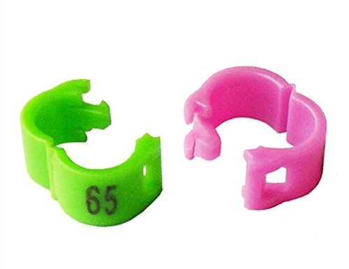 freen-p 100/lot 4 mm 1–100 nummeriert Clip Snap Kunststoff Vogel Ring Bein Bands Parrot Finch Kanarischen Gruppierte, Weiß freen-p 100/lot 4 mm 1–100 nummeriert Clip Snap Kunststoff Vogel Ring Bein Bands Parrot Finch Kanarischen Gruppierte, Weiß von freen-p