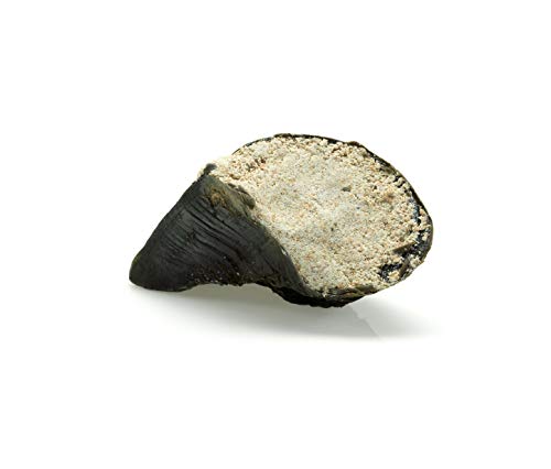 friGERA Gefüllte Hufe mit Geflügel (in Schrumpffolie), 1 x 60 g von friGERA