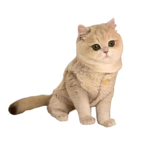 Katzenkleidung, goldfarbener Farbverlauf, Herbst und Winter, warme Weste, Haustier-Plüschkleidung, Welpen, Hunde, Winterkleidung, Baumwollkleidung, Haustierbedarf Katzenkleidung, goldfarbener Farbverlauf, Herbst und Winter, warme Weste, Haustier-Plüschkleidung, Welpen, Hunde, Winterkleidung, Baumwollkleidung, Haustierbedarf von frissin