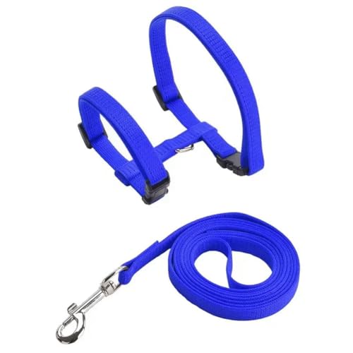 Leichtes, verstellbares Katzengeschirr und Leine, ausbruchsicher, Kätzchen-Gurt, Halsband für Spaziergänge, Reisen, kleine Tiere, Welpengeschirr von frissin