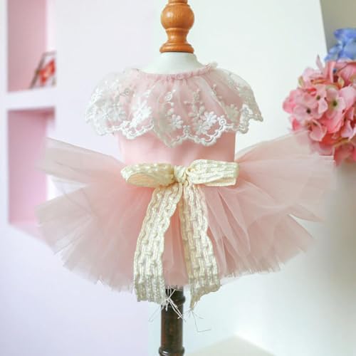 Spitzenkleid mit Fliege für kleine Hunde, Prinzessin, rosa Schleier, Tutu, Rock, Welpen, Sommerkleidung, Geburtstag, Hochzeit, weibliche Haustierkleidung Spitzenkleid mit Fliege für kleine Hunde, Prinzessin, rosa Schleier, Tutu, Rock, Welpen, Sommerkleidung, Geburtstag, Hochzeit, weibliche Haustierkleidung von frissin