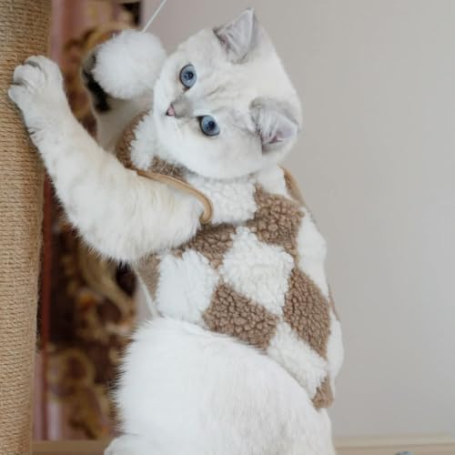 Winterkleidung für Hunde, niedlicher Bär, warm, für kleine und mittelgroße Hunde, Jacke, Französische Bulldogge, Chihuahua von frissin