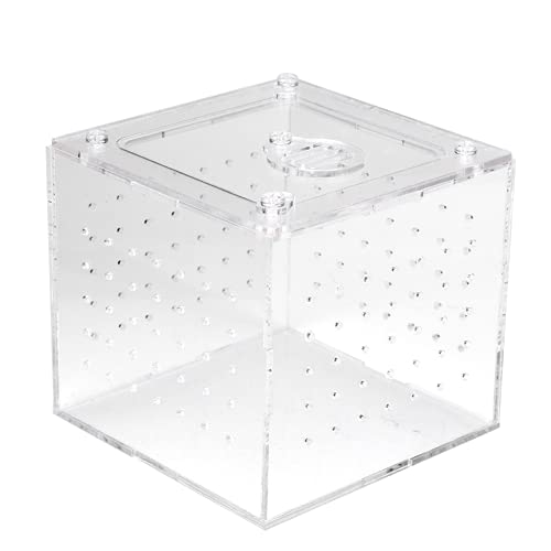 Reptilienzuchtbox, langlebige Zuchtbox, transparent für Vogelspinnen, Schnecken, Geckos, Grillen von fuik