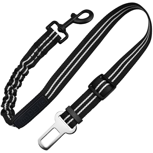 funPETic Auto Sicherheitsgurt für Hund - extra bissfester Adapter mit Dämpfung, Anschnallgurt für kleine und große Hunde und Katzen, Perfekter Hundegurt für Hundegeschirr (Schwarz) von funPETic