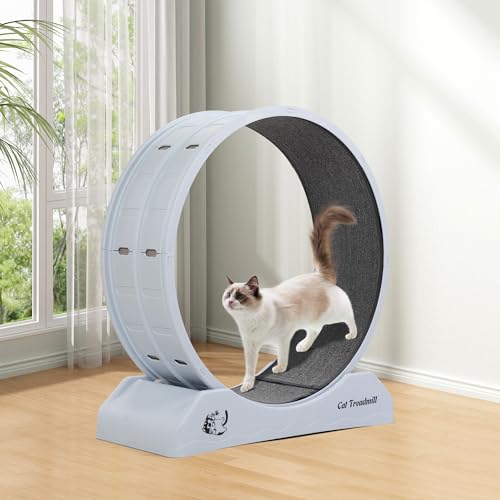 Großes Katzenlaufrad mit Sperrmechanismus & Rutschfestem Teppich – Stabiles Indoor-Laufrad für Katzen bis 20kg, Leise & Einfach Montierbar von furpal