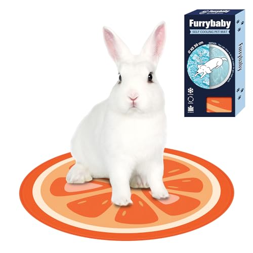 furrybaby Hunde-Kühlmatte, Haustierbett, Hundematte, selbstkühlendes Pad, kühles Gelbett, große Hunde-Kühlkissen(Orange XS 30 cm) furrybaby Hunde-Kühlmatte, Haustierbett, Hundematte, selbstkühlendes Pad, kühles Gelbett, große Hunde-Kühlkissen(Orange XS 30 cm) von furrybaby