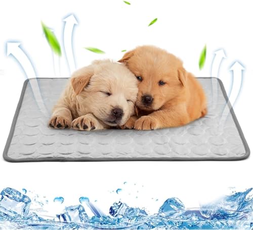 fuzhik Kühlmatte für Hunde und Katzen Selbstkühlende Matte Hunde Haustiere Hundedecke rutschfeste Schlafbett Waschbar Atmungsaktiv Kühlkissen Sommer Heißes Wetter, 60 * 50cm fuzhik Kühlmatte für Hunde und Katzen Selbstkühlende Matte Hunde Haustiere Hundedecke rutschfeste Schlafbett Waschbar Atmungsaktiv Kühlkissen Sommer Heißes Wetter, 60 * 50cm von fuzhik