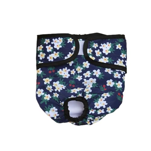 Haustierwindel, wasserdicht, bequem, auslaufsicher, physiologische Hose für Welpen, Haustierwindel, Haustierkostüm Haustierwindel, wasserdicht, bequem, auslaufsicher, physiologische Hose für Welpen, Haustierwindel, Haustierkostüm von fxwtich