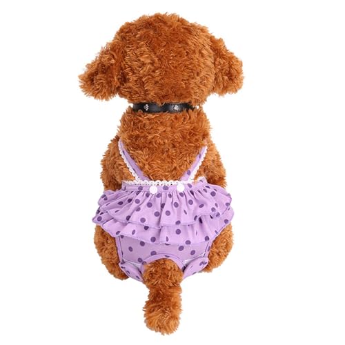Hundezubehör, Pudel, Welpen, physiologische Sanitärhose, Windel, Haustierbedarf Hundezubehör, Pudel, Welpen, physiologische Sanitärhose, Windel, Haustierbedarf von fxwtich