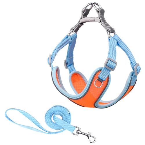 Sicherer Brustgurt für Haustiere, 1 Set, Haustiergeschirr, bequem, einfach zu tragen, Netzgewebe, verhindert Ausrutschen, reflektierender Haustier-Brustgurt für Outdoor-Hunde, Traktion, Sicherer Brustgurt für Haustiere, 1 Set, Haustiergeschirr, bequem, einfach zu tragen, Netzgewebe, verhindert Ausrutschen, reflektierender Haustier-Brustgurt für Outdoor-Hunde, Traktion, von fxwtich