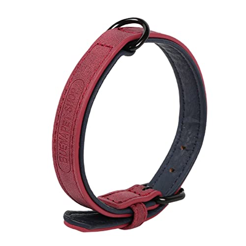 fxwtich Haustier-Halsband, einfarbig, verstellbar, verschleißfest, modisch, für Hunde, Kunstleder, Haustierzubehör, Haustierhalsband, Haustiere fxwtich Haustier-Halsband, einfarbig, verstellbar, verschleißfest, modisch, für Hunde, Kunstleder, Haustierzubehör, Haustierhalsband, Haustiere von fxwtich