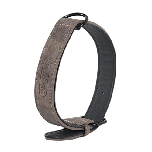fxwtich Haustier-Halsband, einfarbig, verstellbar, verschleißfest, modisch, für Hunde, Kunstleder, Haustierzubehör, Haustierhalsband, Haustiere fxwtich Haustier-Halsband, einfarbig, verstellbar, verschleißfest, modisch, für Hunde, Kunstleder, Haustierzubehör, Haustierhalsband, Haustiere von fxwtich