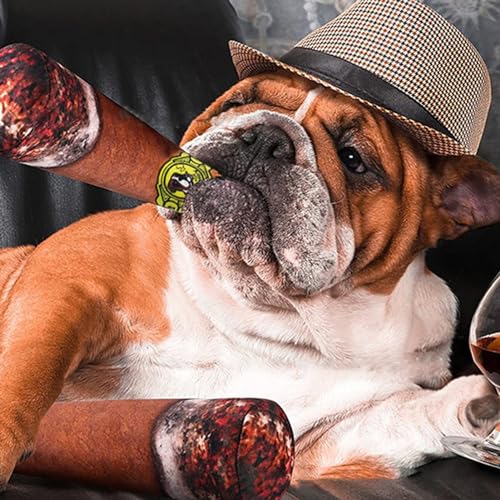 fxwtich Hundespielzeug Hundespielzeug Bissfest Mehrzweck Weiche Form Plüsch Welpe Quietschendes Geräusch Geräuschspielzeug für Training Hund Beißspielzeug Hundetraining Spielzeug fxwtich Hundespielzeug Hundespielzeug Bissfest Mehrzweck Weiche Form Plüsch Welpe Quietschendes Geräusch Geräuschspielzeug für Training Hund Beißspielzeug Hundetraining Spielzeug von fxwtich