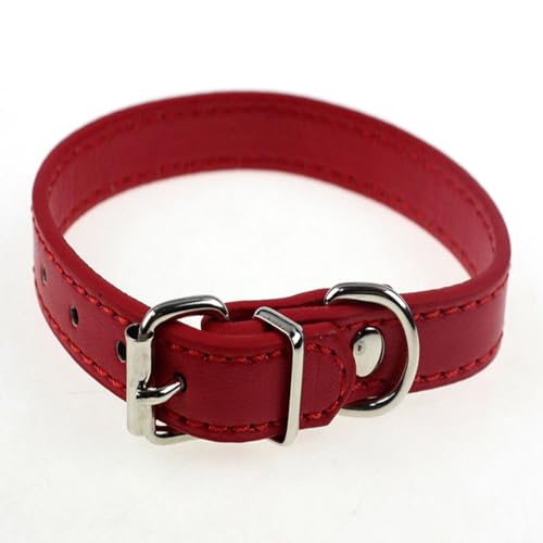 fxwtich Hundezubehör, verstellbarer Gürtel, Kunstleder, Halsband mit Schnalle, Halsband, Halskette fxwtich Hundezubehör, verstellbarer Gürtel, Kunstleder, Halsband mit Schnalle, Halsband, Halskette von fxwtich