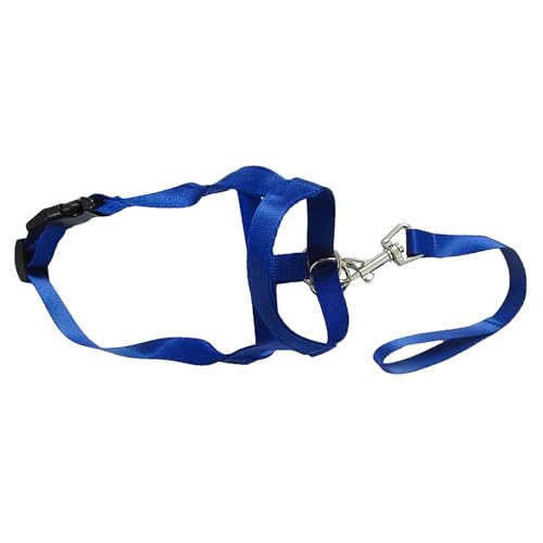 fxwtich Hundezubehör, weiches Nylon, für Training, Mundkäfig, Beißband fxwtich Hundezubehör, weiches Nylon, für Training, Mundkäfig, Beißband von fxwtich