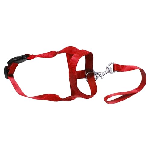 fxwtich Hundezubehör, weiches Nylon, für Training, Mundkäfig, Beißband fxwtich Hundezubehör, weiches Nylon, für Training, Mundkäfig, Beißband von fxwtich