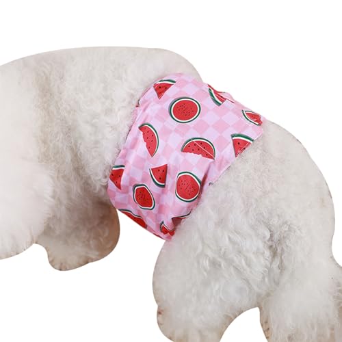 fxwtich Windeln für Hündinnen, Welpen-Trainingshose, Haustier-Menstruations-Höschen, wiederverwendbar, physiologische Hygiene-Höschen für Hunde, verstellbar, auslaufsicher, atmungsaktiv, waschba fxwtich Windeln für Hündinnen, Welpen-Trainingshose, Haustier-Menstruations-Höschen, wiederverwendbar, physiologische Hygiene-Höschen für Hunde, verstellbar, auslaufsicher, atmungsaktiv, waschba von fxwtich