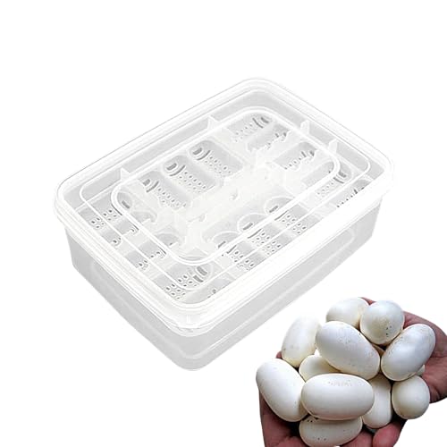 Brutkasten Für Reptilien-Eier | 16 Gitter, Transparenter Eier-Brutkasten, Brutkasten Brutkasten Brutkasten Für Geckos, Eidechsen, Löwenmähnen von galeyyu