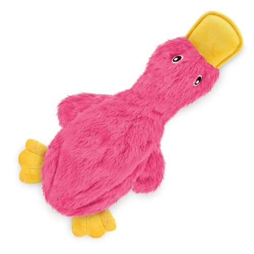 gardeNext Hundespielzeug Dago – Pinkes Plüschspielzeug – Robust & Quietschend – Langlebiges Kauspielzeug für Hunde – Waschbar & Zahnpflege – Für Kleine & Mittlere Hunde – Perfekt für drinnen & draußen gardeNext Hundespielzeug Dago – Pinkes Plüschspielzeug – Robust & Quietschend – Langlebiges Kauspielzeug für Hunde – Waschbar & Zahnpflege – Für Kleine & Mittlere Hunde – Perfekt für drinnen & draußen von gardeNext