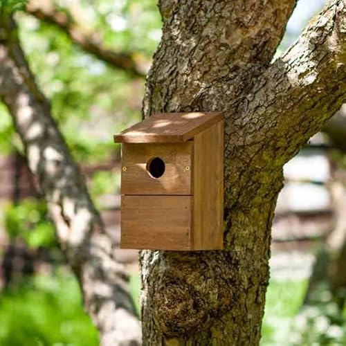 Garden Mile Klassisches Nistkasten aus Naturholz, Vogelhaus, Garten, Outdoor, Vogelhotel, Wandmontage, Vogelnistkasten für Wildvögel Garden Mile Klassisches Nistkasten aus Naturholz, Vogelhaus, Garten, Outdoor, Vogelhotel, Wandmontage, Vogelnistkasten für Wildvögel von garden mile