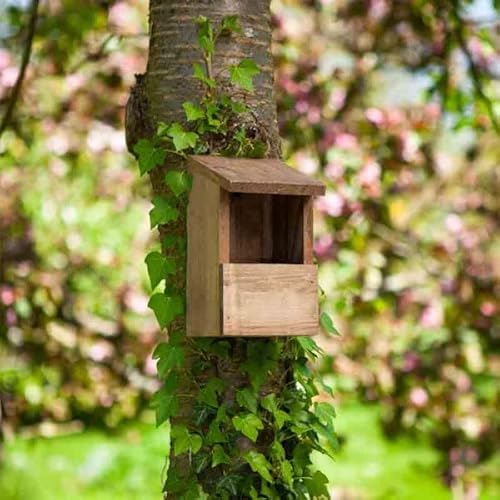 Garden Mile Rotkehlchen Nistkasten Naturholz Nistkasten Wandmontage Haus Garten Vogelschutz Outdoor Vögel Hotel Vogel Nistkasten für Wildvögel Nistkasten Outdoor Strapazierfähig Wetterfest Garden Mile Rotkehlchen Nistkasten Naturholz Nistkasten Wandmontage Haus Garten Vogelschutz Outdoor Vögel Hotel Vogel Nistkasten für Wildvögel Nistkasten Outdoor Strapazierfähig Wetterfest von garden mile