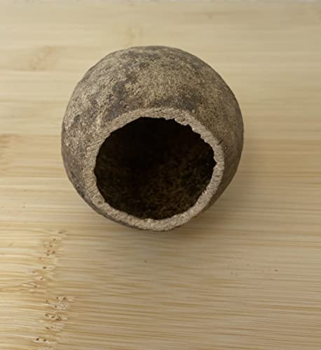 garnelenshop24de Holzapfel - Deko & Versteckmöglichkeit, Höhle für Aquarien garnelenshop24de Holzapfel - Deko & Versteckmöglichkeit, Höhle für Aquarien von garnelenshop24de