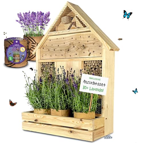 GARTENETAGE Insektenhotel zum Aufhängen mit Pflanzenbalkon Lavendel - inkl. Anzuchtset/Naturbelassenes, massives Insektenhaus & Bienenhotel/Insektenhotel groß, Marienkäferhaus GARTENETAGE Insektenhotel zum Aufhängen mit Pflanzenbalkon Lavendel - inkl. Anzuchtset/Naturbelassenes, massives Insektenhaus & Bienenhotel/Insektenhotel groß, Marienkäferhaus von gartenetage