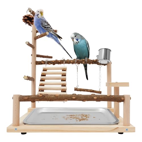 gegeweeret Wellensittich Spielplatz, Papageienspielzeug, Vogelspielplatz Mit Feeder Cups und Tablett für Nymphensittich Papageien Wellensittiche und Andere Kleine und Mittelgroße von gegeweeret