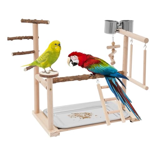gegeweeret Wellensittich Spielplatz, Wellensittich Zubehör mit Feeder-Cup Spielzeug Leiter Erklimmen Schaukel und Tablett für Nymphensittich Papageien Wellensittiche und Andere Kleine und Mittelgroße von gegeweeret