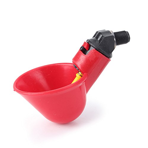 FSFYUK 4 stücke Geflügel Henne Wasser Trinken Tassen Huhn Automatische Trinker PVC Rot Für Ente Vogel Gans FSFYUK 4 stücke Geflügel Henne Wasser Trinken Tassen Huhn Automatische Trinker PVC Rot Für Ente Vogel Gans von generisch