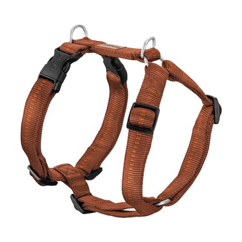 Koch Premium Geschirr Kupfer S 20mm Gurtbreite, Immer Voll gepolstert, Hundegeschirr 5-Fach verstellbar, verstellbar auch am Bauch. Mit Kennfäden Koch Premium Geschirr Kupfer S 20mm Gurtbreite, Immer Voll gepolstert, Hundegeschirr 5-Fach verstellbar, verstellbar auch am Bauch. Mit Kennfäden von generisch