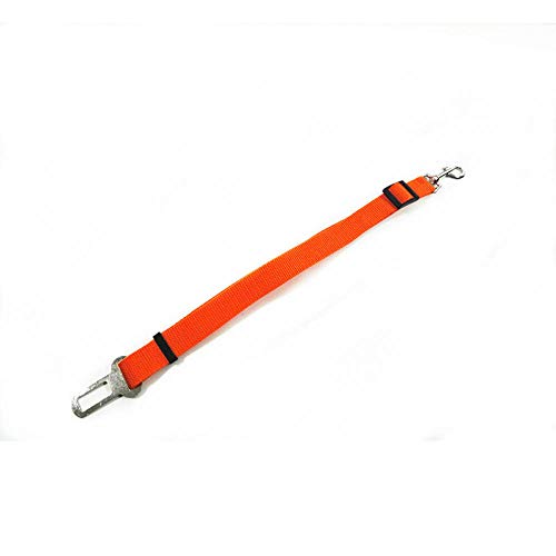 Haustier Hund Sicherheitsgurt Gurte Sicherheitsgurt Hund Traktionsgurt Reiseclip Hund Auto Sicherheitsgurt Sicherheitsstange Automatische Traktion-orange Geschirr Für Hunde Für Kleine Mittlere Haustier Hund Sicherheitsgurt Gurte Sicherheitsgurt Hund Traktionsgurt Reiseclip Hund Auto Sicherheitsgurt Sicherheitsstange Automatische Traktion-orange Geschirr Für Hunde Für Kleine Mittlere von gengxinxin