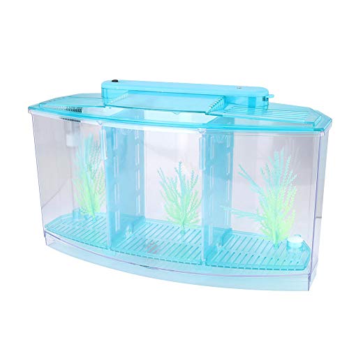 Aquarium Aquarium, Aquarium Fischzuchtbox Acryl Brüterei Inkubator Tank mit LED-Licht, LED Acryl DREI Abteilungen Zuchtisolationsbox für Kleine Fische (Blue) von gernie