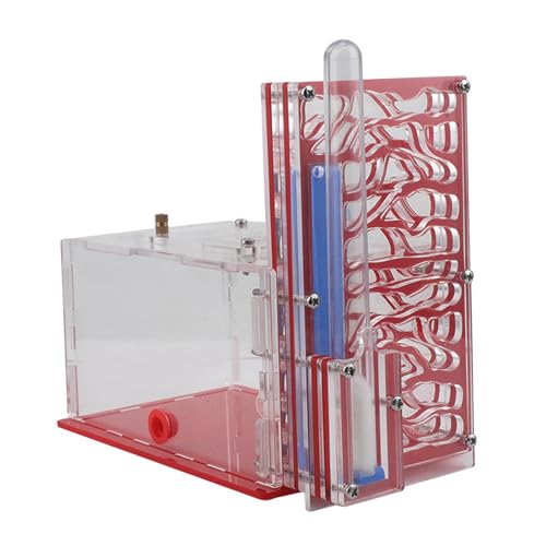 Ameisenfarm aus Acryl mit Futterplatz und Belüftung, für Kinder, Naturbeobachtung und pädagogisches Lernen, Rot Ameisenfarm aus Acryl mit Futterplatz und Belüftung, für Kinder, Naturbeobachtung und pädagogisches Lernen, Rot von getuse