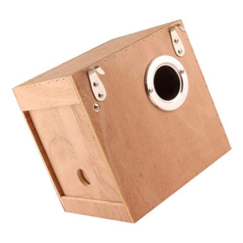 Vogelbrutkasten aus Naturholz, für Sittiche, Wellensittiche, Nymphensittiche, Nistkäfig, sicher, ungiftig, Umwelt Vogelbrutkasten aus Naturholz, für Sittiche, Wellensittiche, Nymphensittiche, Nistkäfig, sicher, ungiftig, Umwelt von getuse