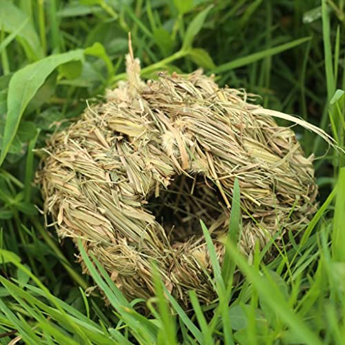 Vogelnest aus geflochtenem Stroh, Vogelhaus für Papageien, Tauben, handgewebt, Naturstroh, Nisthaus, 12 x 12 x 12 cm Vogelnest aus geflochtenem Stroh, Vogelhaus für Papageien, Tauben, handgewebt, Naturstroh, Nisthaus, 12 x 12 x 12 cm von getuse