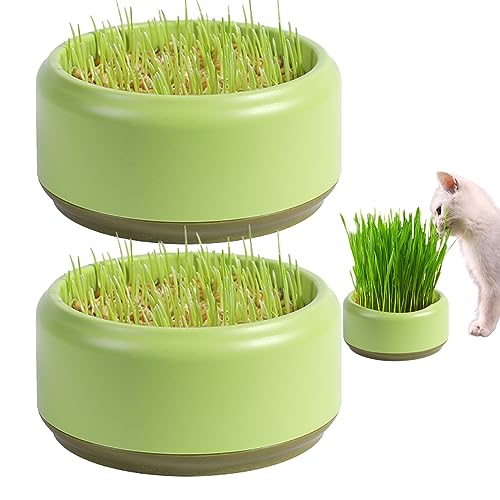 ggtuyt Catnip Toys Cat Grass Pflanzer 2pcs Praktische runde Katzengrasbecher 5,3 Zoll Praktische Katzengras -Wachstumskit Haushalt Katze Gras -Kindergärten -Samenrouter -Tablett von ggtuyt