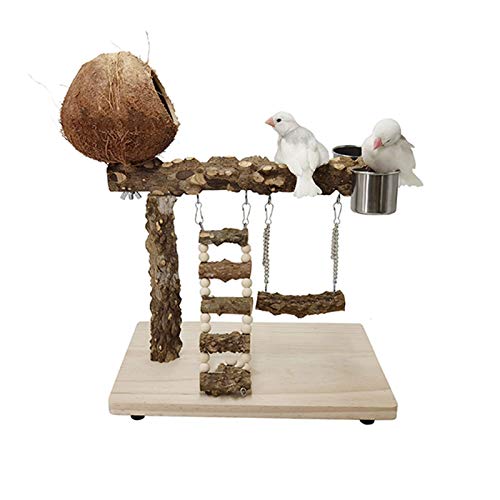 Freiland-Vogelständer, Massivholz, Papageienregal, Desktop-Pageien-Plattform, Papageien-Desktop-Spielplatz, Vogel Freilandständer 302026 Freiland-Vogelständer, Massivholz, Papageienregal, Desktop-Pageien-Plattform, Papageien-Desktop-Spielplatz, Vogel Freilandständer 302026 von ghghnrtgefrgnhnxdf