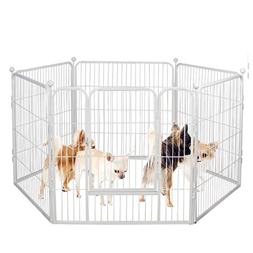 Haustierzaun für kleine Hunde, mittelgroße Hunde, große Hunde, Haushalt, Innen- und Außenbereich, zusammenklappbar, abnehmbarer Hundekäfig, weiß, 80 x 80 cm, 6 Stück von ghghnrtgefrgnhnxdf