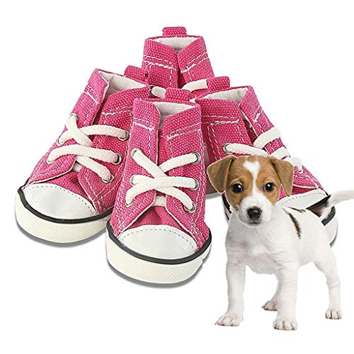 Klassische Denim-Segeltuch-Stil Haustier-Hundeschuhe Sportstile kleine Hundeschuhe rutschfeste Haustierschuhe Hund kleine Haustierstiefel (Größe : 4) von ghghnrtgefrgnhnxdf