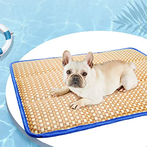 Sommer-Haustiermatte, Isomatte, Katzen und Hunde, antihaftbeschichtet, für Haare, Eismatte, verdickt, hohe Elastizität, bequemer Rillschutz, Kühlkissen (Blau, XL) von ghghnrtgefrgnhnxdf