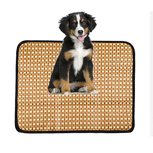 Sommer-Haustiermatte, Isomatte, Katzen und Hunde, antihaftbeschichtet, für Haare, Eismatte, verdickt, hohe Elastizität, bequemer Rillschutz, Kühlkissen (Schwarz, L) von ghghnrtgefrgnhnxdf