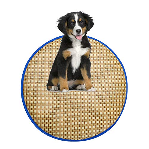 Sommer-Haustiermatte, Isomatte, Katzen und Hunde, antihaftbeschichtet, für Haare, Eismatte, verdickt, hohe Elastizität, bequemer Rillschutz, Kühlkissen (blau, rund) von ghghnrtgefrgnhnxdf