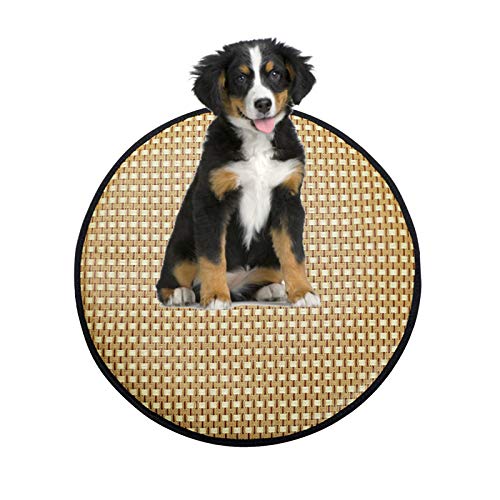 Sommer-Haustiermatte, Isomatte, Katzen und Hunde, antihaftbeschichtet, für Haare, Eismatte, verdickt, hohe Elastizität, bequemer Rillschutz, Kühlkissen (schwarz, rund) von ghghnrtgefrgnhnxdf