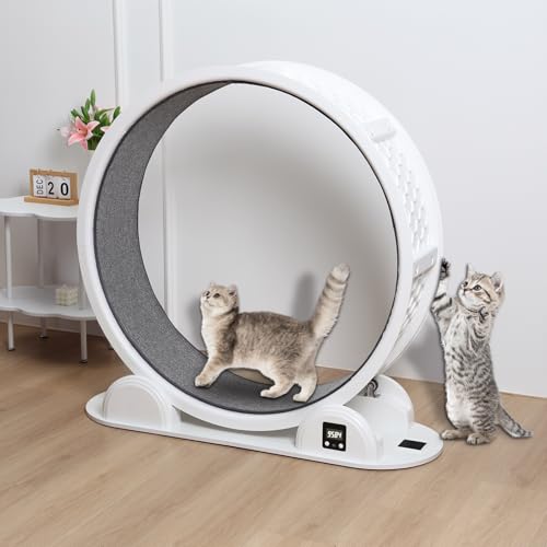 gibxiyza Katzenrad für Indoor-Katzen, Katzenlaufrad, Katzenlaufband, interaktives Katzenspielzeug, Katzenlaufrad, Katzenspielzeug für Indoor-Katzen, Katzen-Fitnessrad, leiser, großes Katzenlaufband, gibxiyza Katzenrad für Indoor-Katzen, Katzenlaufrad, Katzenlaufband, interaktives Katzenspielzeug, Katzenlaufrad, Katzenspielzeug für Indoor-Katzen, Katzen-Fitnessrad, leiser, großes Katzenlaufband, von gibxiyza