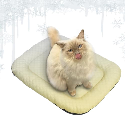 Hund Zwinger Sommer - Cool Pet Ice Pad | Dogg -Kühlmatte - atmungsaktive Ice Seidenkatze Matt | Leichtes Zwingerpolster für Welpenkatze ruhen schlafend, nickerte Heißwetter im Freien im Freien im Frei Hund Zwinger Sommer - Cool Pet Ice Pad | Dogg -Kühlmatte - atmungsaktive Ice Seidenkatze Matt | Leichtes Zwingerpolster für Welpenkatze ruhen schlafend, nickerte Heißwetter im Freien im Freien im Frei von gifyym