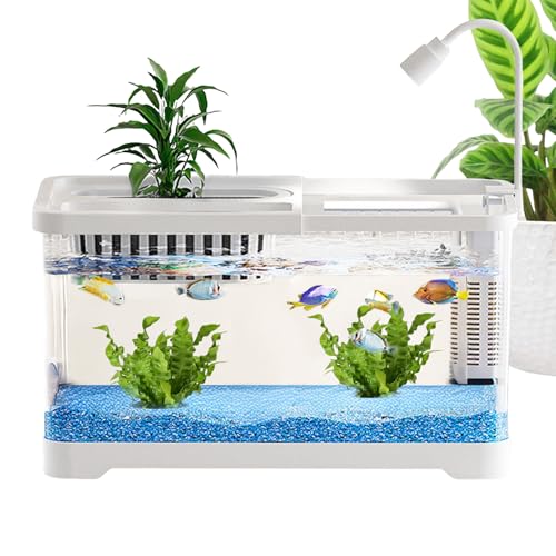 Kampffisch Aquarien | Kampffisch Landschaft Aquarium Komplettset - Klare Landschaftsbecken Für Guppys Schnecken Schildkröten Haustierliebhaber Anfänger Schreibtisch Wohnung Kampffisch Aquarien | Kampffisch Landschaft Aquarium Komplettset - Klare Landschaftsbecken Für Guppys Schnecken Schildkröten Haustierliebhaber Anfänger Schreibtisch Wohnung von gifyym