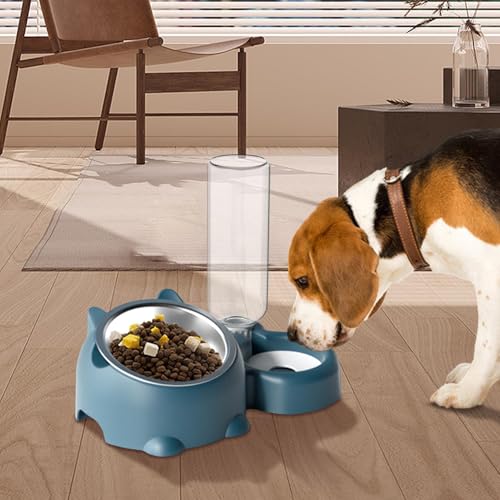 Katzennapf – Katzenfutter- und Wassernapf-Set | Katzennäpfe mit Ständer | Doppelte Katzennäpfe mit Wasserspender für Haustier | Futter- und Wasserspender für kleine mittelgroße Hunde Katzen | Katzennapf – Katzenfutter- und Wassernapf-Set | Katzennäpfe mit Ständer | Doppelte Katzennäpfe mit Wasserspender für Haustier | Futter- und Wasserspender für kleine mittelgroße Hunde Katzen | von gifyym
