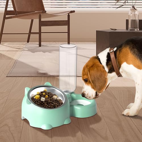 Katzennapf – Katzenfutter- und Wassernapf-Set | Katzennäpfe mit Ständer | Doppelte Katzennäpfe mit Wasserspender für Haustier | Futter- und Wasserspender für kleine mittelgroße Hunde Katzen | Katzennapf – Katzenfutter- und Wassernapf-Set | Katzennäpfe mit Ständer | Doppelte Katzennäpfe mit Wasserspender für Haustier | Futter- und Wasserspender für kleine mittelgroße Hunde Katzen | von gifyym